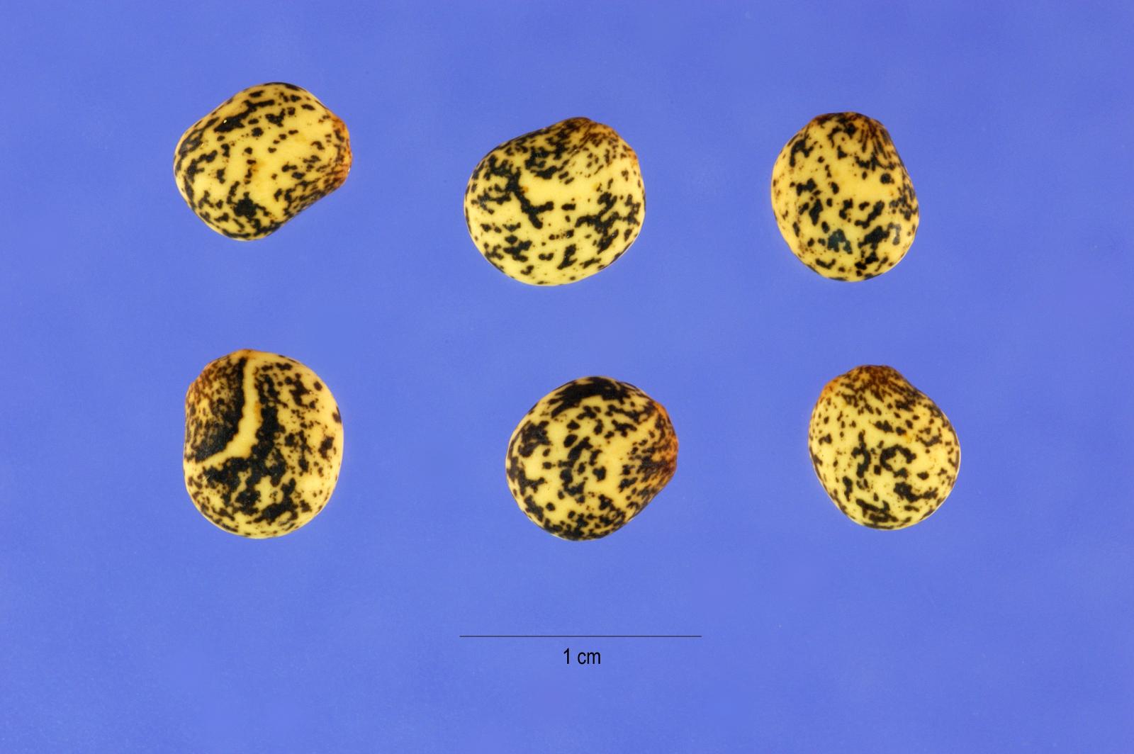 Datasheet photo 4